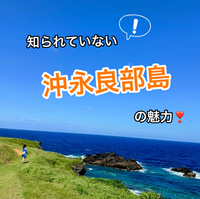 意外と知られていない！沖永良部島の魅力発見👀