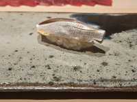 New Age of Sushi Omakase