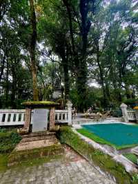 Chiang Mai’s Springtime Paradise