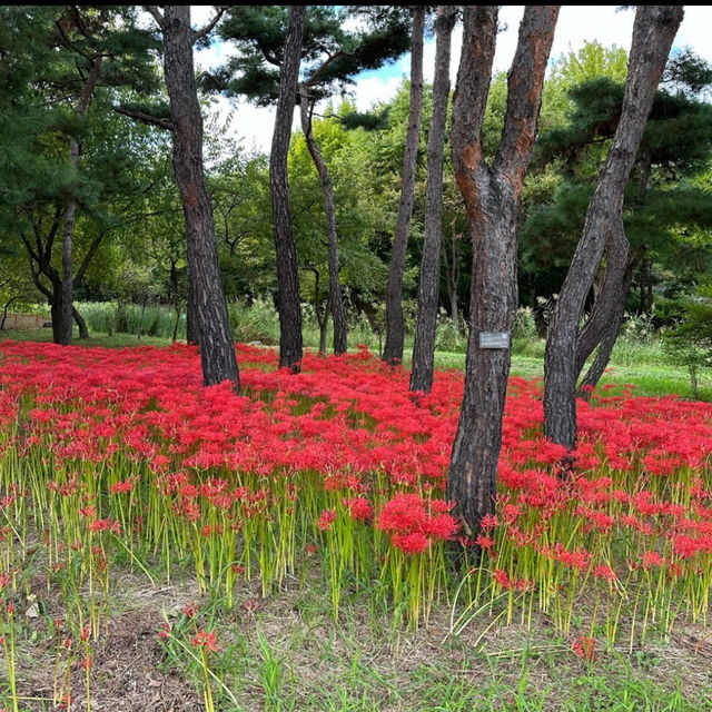 ハンバッ樹木園