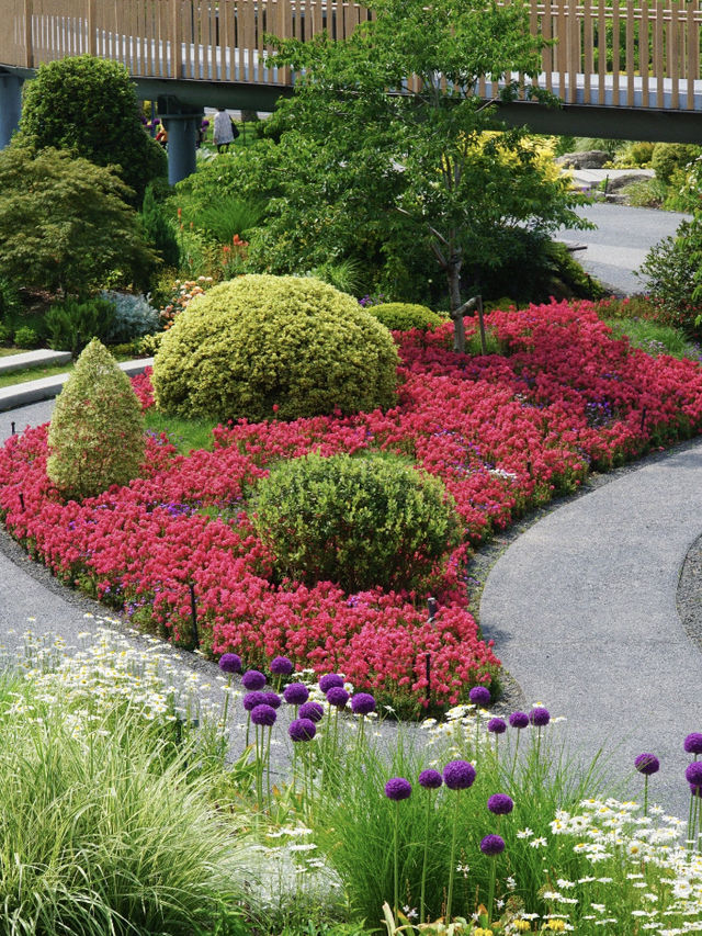 🌸 Hidden Gem at the Shanghai Botanical Garden 🌿