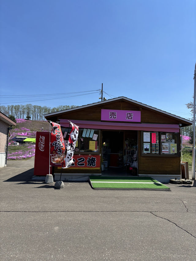 ひがしもこと芝桜公園で春の絶景体験！ピンクのじゅうたんに包まれる感動スポット