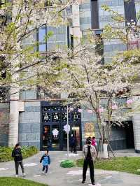 Cherry Blossoms in Concrete Dreams: A Spring Glimpse at 1000 Trees, Shanghai