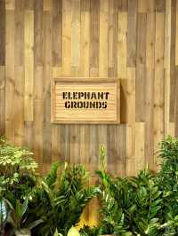 📍 Elephant Grounds (K11 Musea) 