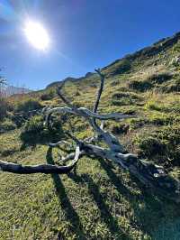 Epic Journey on the W Trek