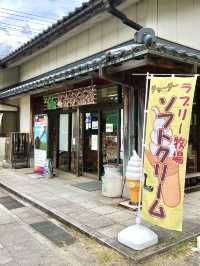 A Slow Day in Fukui – Dinosaurs, Temples & Sweet Treats