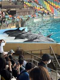 白浜のパンダ、30年間ありがとう❤️