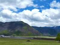 Tranquil Splendor: The Beauty of Napa Lake Grassland