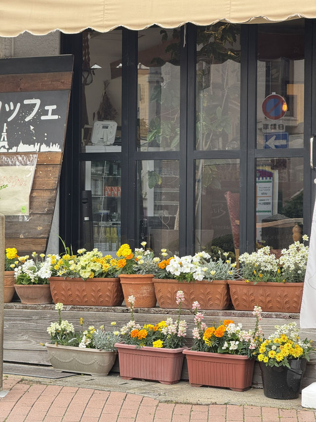 A Peaceful Escape to Minoh park.