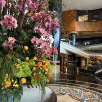 5 star Grand Hyatt Hong Kong