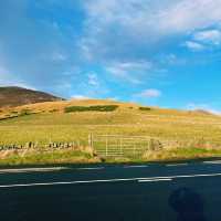 🏴󠁧󠁢󠁳󠁣󠁴󠁿 エディンバラ郊外の森を抜けて…🌲🐑