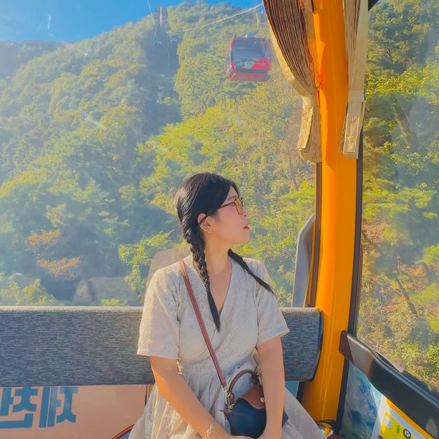 이곳은 스위스가 아닙니다✨제천 청풍호반 케이블카