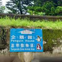 台北市動物園：親子同樂的自然探索勝地 🐼