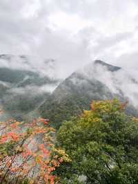 Spring Feels in Iya Valley