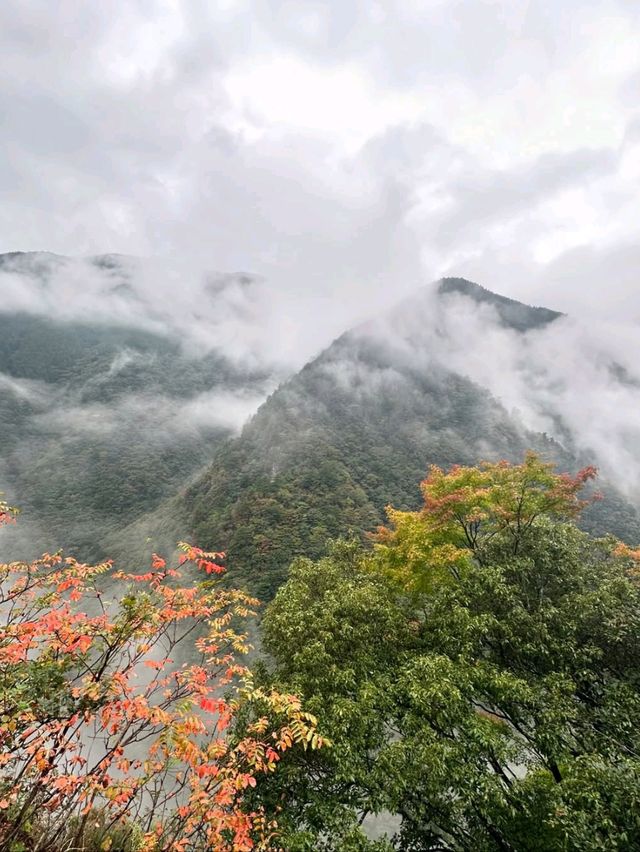 Spring Feels in Iya Valley