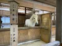 人生で1度は行きたい！1368段の階段の先に広がるパワースポット⛩🌿
