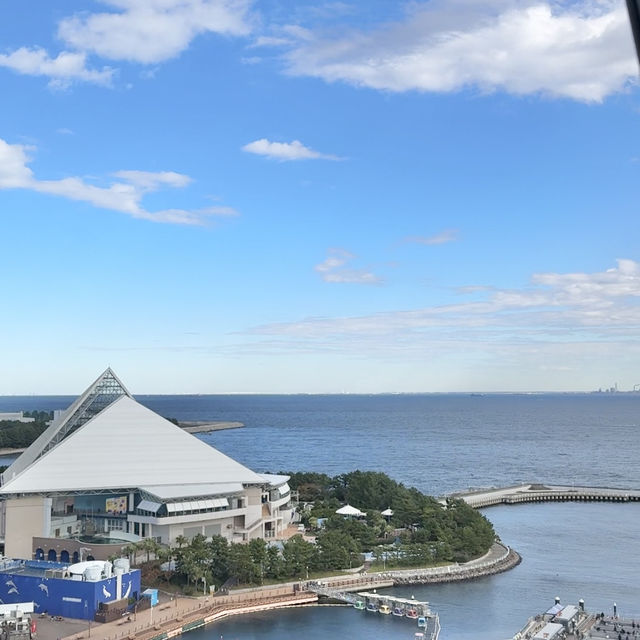 1日中遊び尽くせる‼️八景島