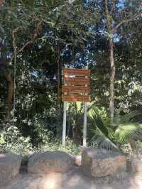 KHAO YAI national park 