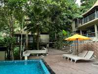 Nature’s Embrace: A Weekend Escape to Forest Serenity