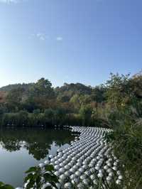 【香川→直島→豊島】アートを巡る旅！美術館＆島グルメを満喫