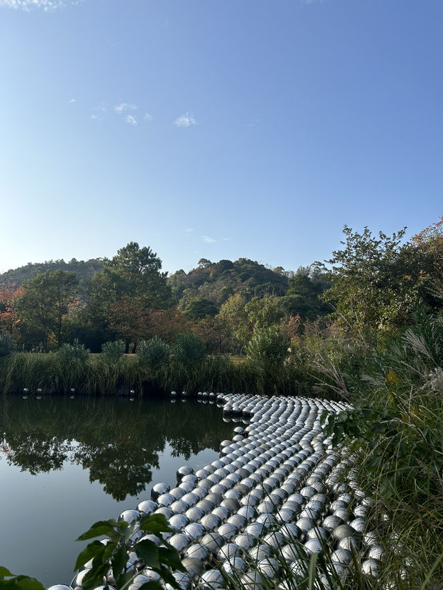 【香川→直島→豊島】アートを巡る旅！美術館＆島グルメを満喫