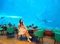 Deep Sea Cafeteria