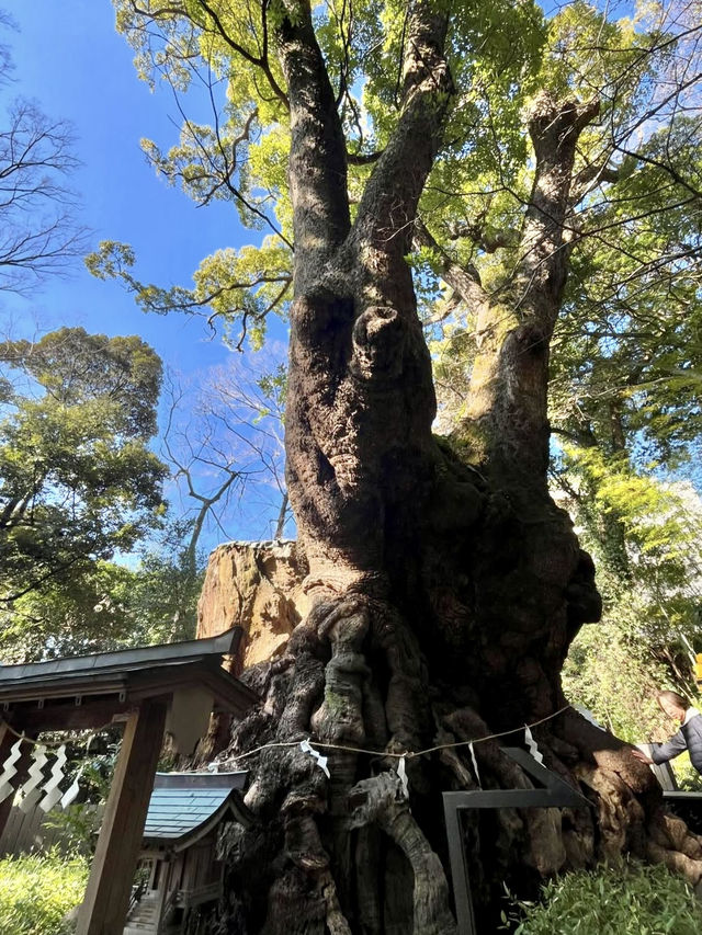 A Calm & Cozy Getaway in Atami 🧖‍♀️🌿