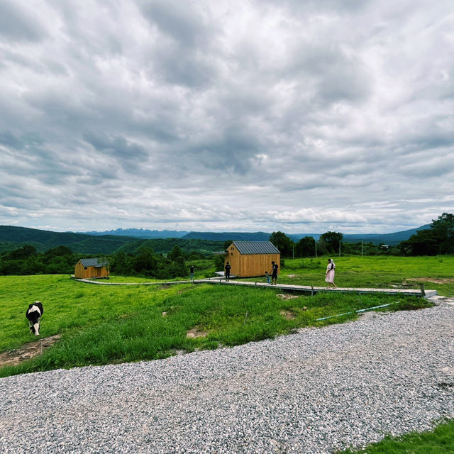 🌿HillbillyFarm @Namnao