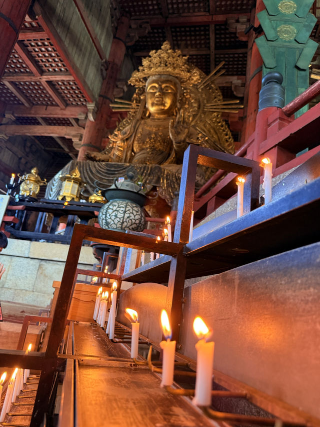 奈良｜5層樓高莊嚴大佛 到聖武天皇蓋的東大寺感受千年歷史