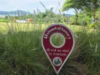 Cafe' De Camp ร้านกาแฟวิวทะเลสาบ