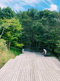 🌿 自然と共生する「箱根山テラス」