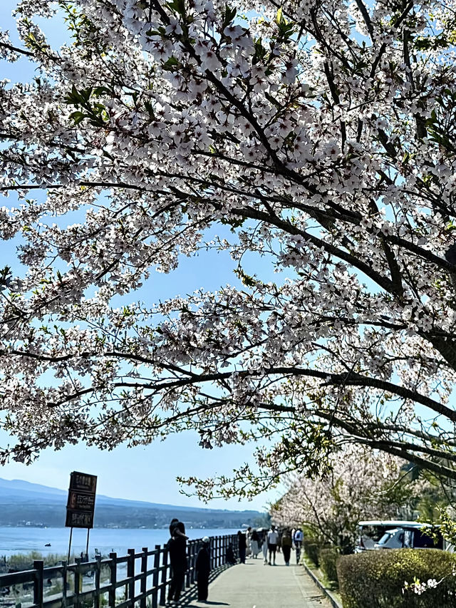 โอซาก้า🇯🇵