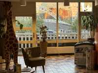 Staying over in Kijk Kubus for a night