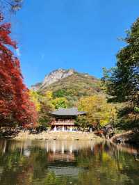 Leaf It to Naejangsan