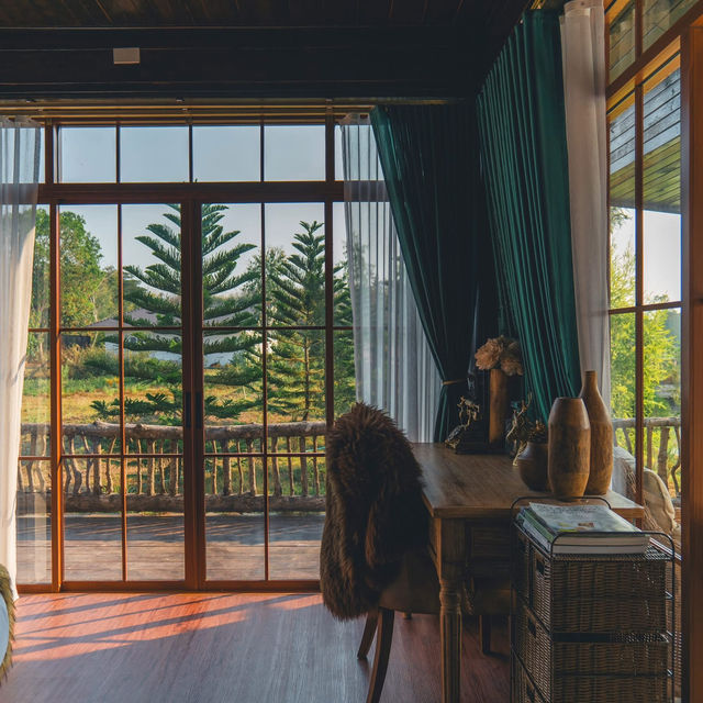 Pine village เชียงใหม่