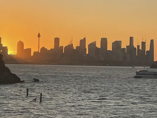 Sydney sunsets