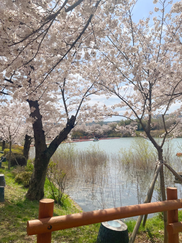 한국스러운 국내여행, 경주 여행지 10곳 모아봄 🇰🇷🥢 