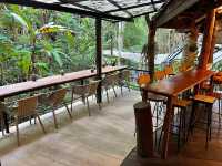 Teddu Coffee เชียงใหม่ คาเฟ่ที่สายกาแฟห้ามพลาด! ☕️