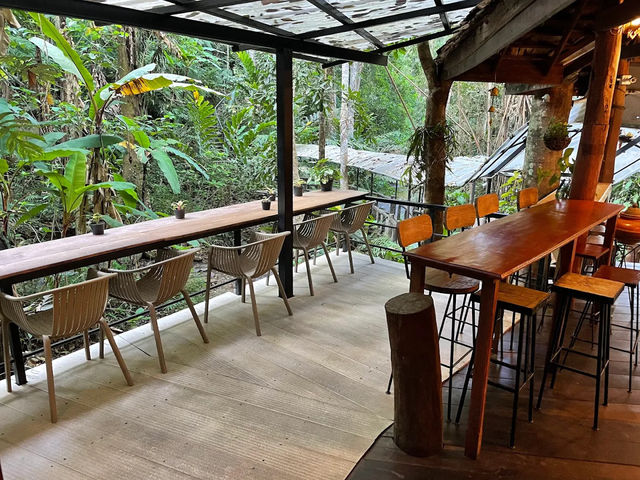 Teddu Coffee เชียงใหม่ คาเฟ่ที่สายกาแฟห้ามพลาด! ☕️