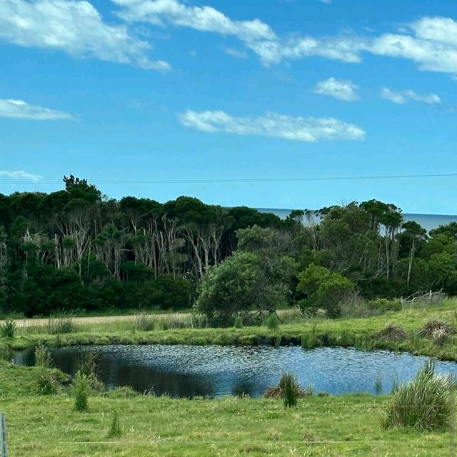 Bay of Fires – TAS