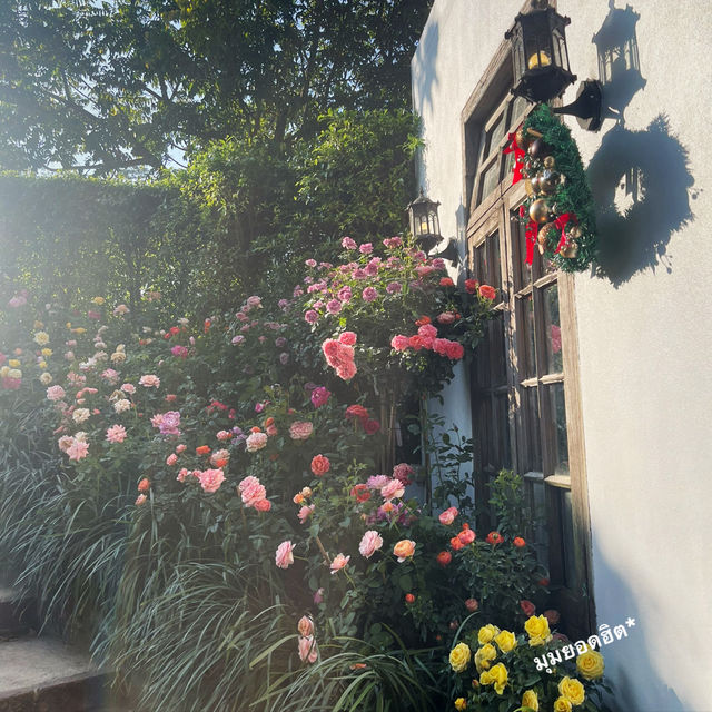 Fleur Cafe & Eatery ❁⋆₊*. คาเฟ่เชียงใหม่