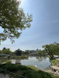 🌸 A Dreamy Birthday Moment at Gyeongbokgung Palace, Seoul 👘🎂