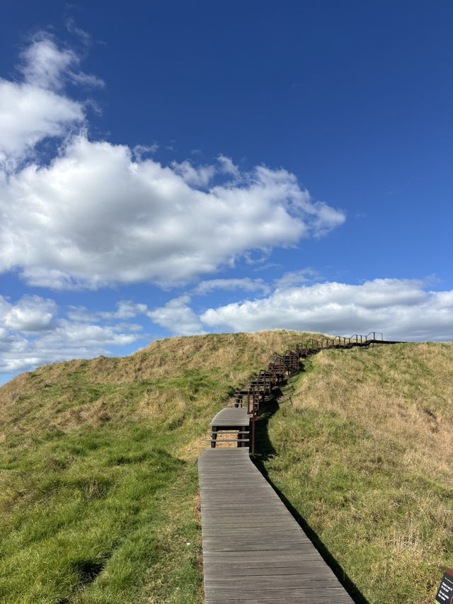 オークランド3日間のカジュアル旅攻略