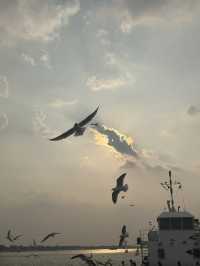 🌇 Chasing Sunsets & Feeding Birds at Botataung Jetty