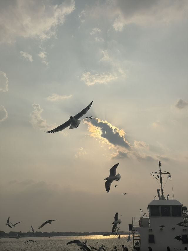 🌇 Chasing Sunsets & Feeding Birds at Botataung Jetty