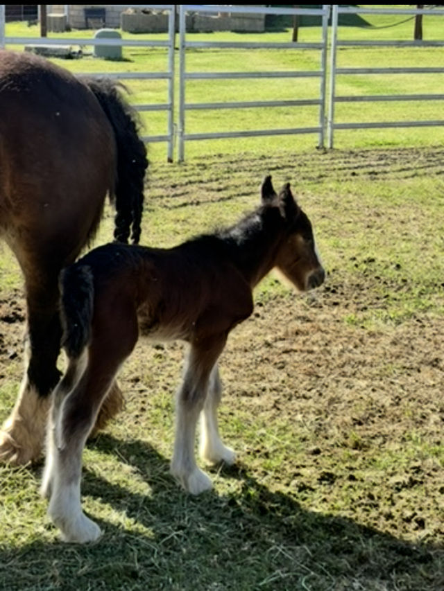 Great Adventure Great Adventure