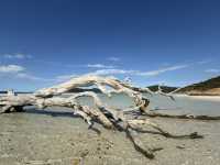 Hamilton Island trip: escape from the winter time