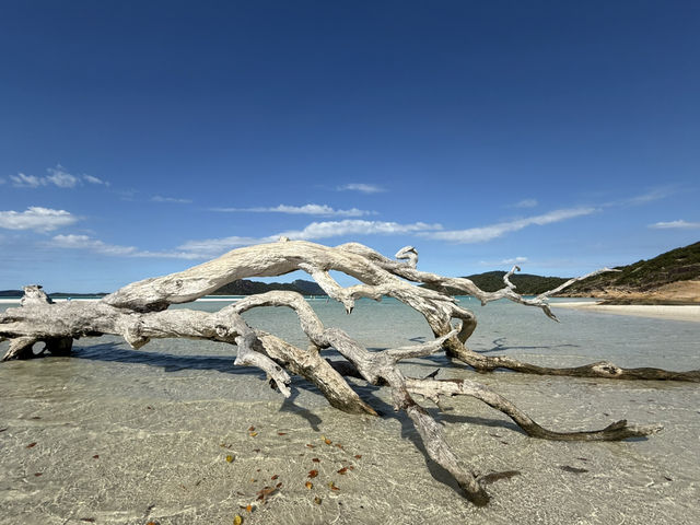 Hamilton Island trip: escape from the winter time