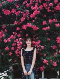 คาเฟ่ที่มีสวนกุหลาบ🌹