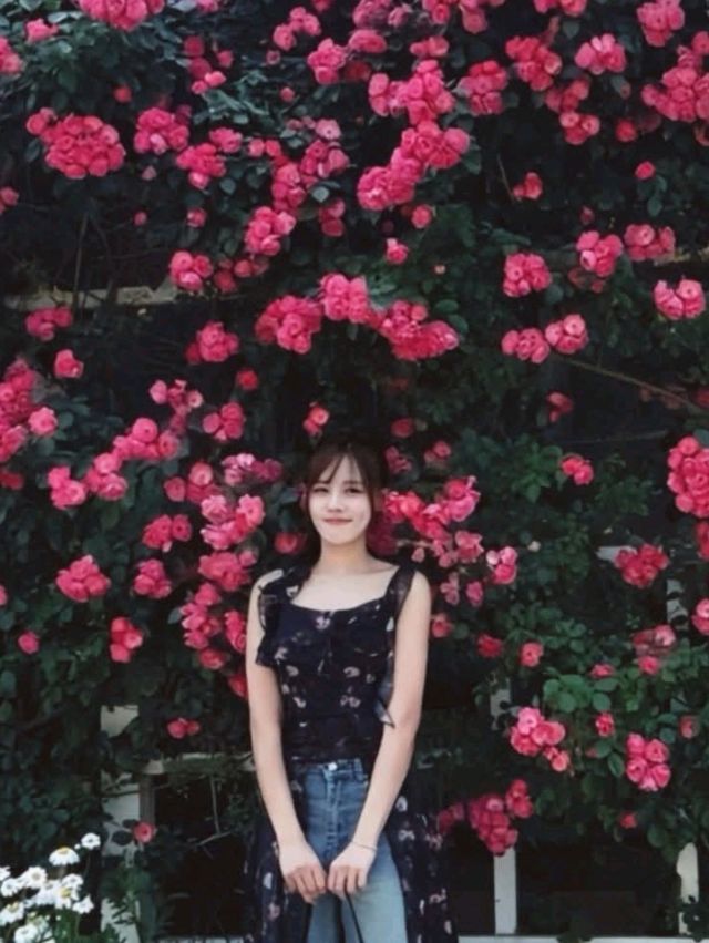 คาเฟ่ที่มีสวนกุหลาบ🌹